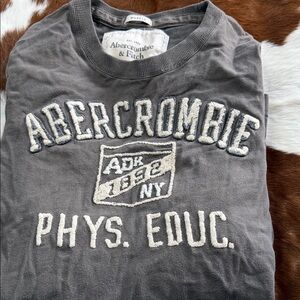 Abercrombie & Fitch Charcoal Graphic Tee